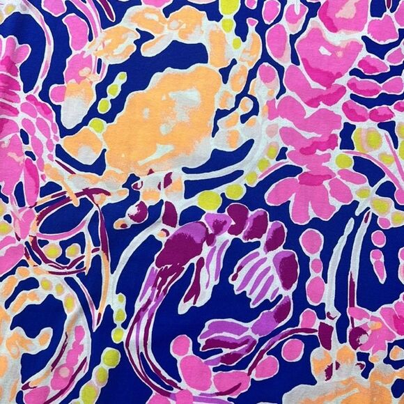 Lilly Pulitzer Brilliant Blue Catch and Release Sophie Dress - Picture 7 of 14